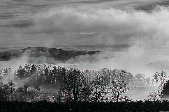 March_2025_BW_SherriCappabianca