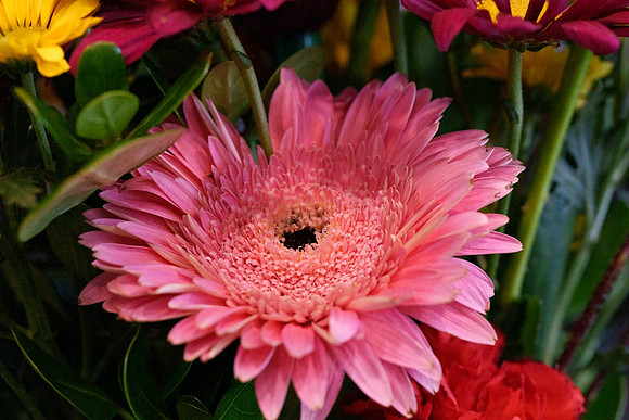Flower01