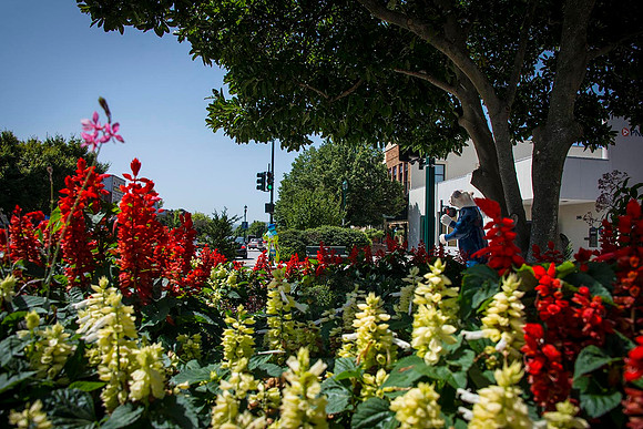 KenWeaver_0958 Downtown Flowers_CCH