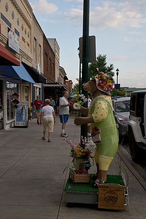 GaryLightner_DowntownHendersonville6_CCH