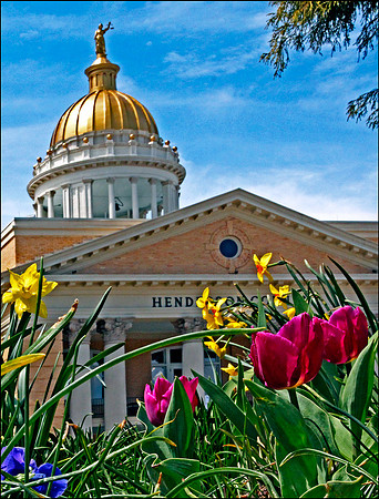 John-Ayre_Spring-on-Main-Street_CCH
