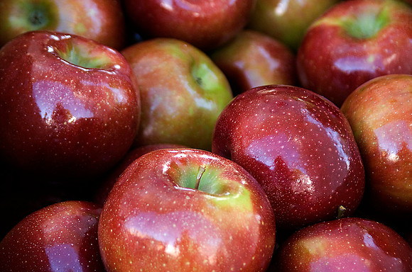 Ron Anderson_Apple Festival_CCH