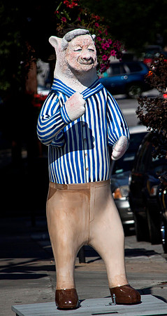 Ron Anderson_Bear1_CCH