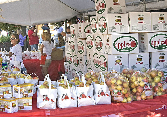 Ron Anderson_Booth at Apple Festival_CCH