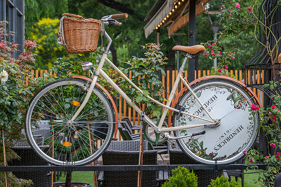 Bicycle from JDHannis