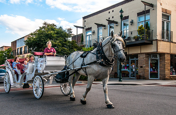 BobCoffey_CarriageRide_CCH