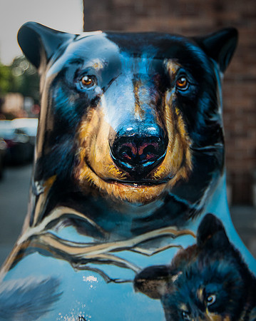 BobCoffey_HiThere,Bear_CCH