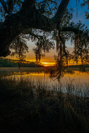 Skidaway Island, GA