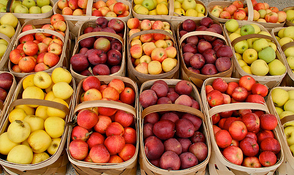 JudyTuthill_BasketsOfApples_CCH