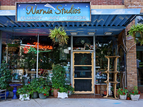 JudyTuthill_ShoppingDowntown_CCH