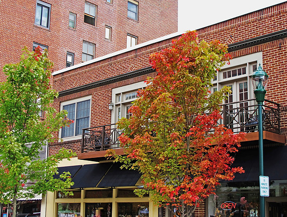 D Trochim_Signs of fall_ CCH.jpeg