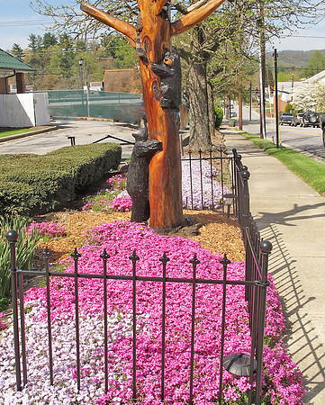 DTrochim_spring onMain_CCH.jepg
