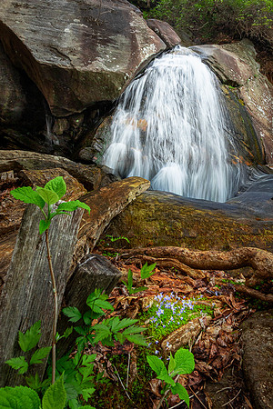Uncles Creek Fall-3