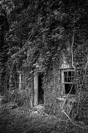 Nobody's Home