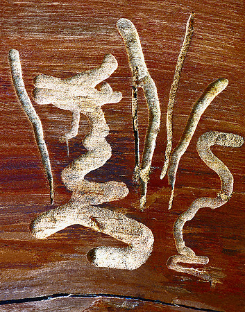 2_Calligraphy