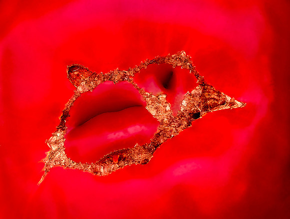 8_Bird Lips