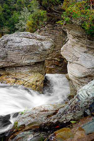 "Grumpy" - Linville Falls