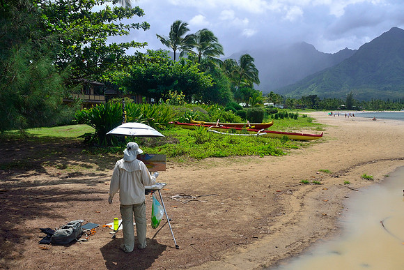 Artist, Kaua'i, Hawaii