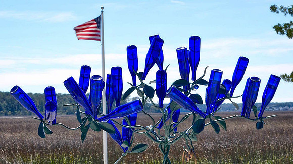 ParkerRoberts_BlueBottles_P