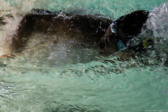 Night Swimmer