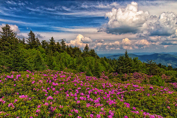 A20_GinnyBedell_Appalachian Beauty