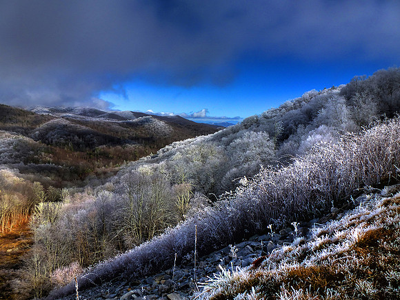 A26_SteveSimpson_rime ice
