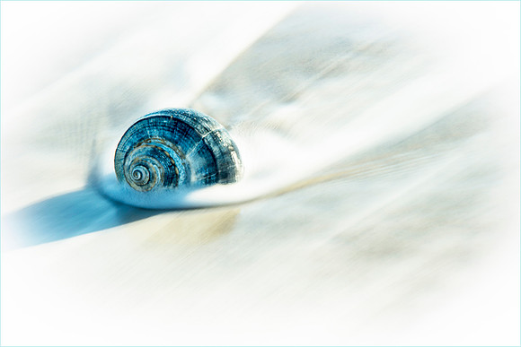 A40_KenWeaver_Blue Shell in Surf