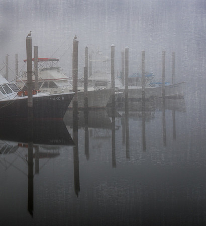 A59_GinnyBedell_Harbor Peace