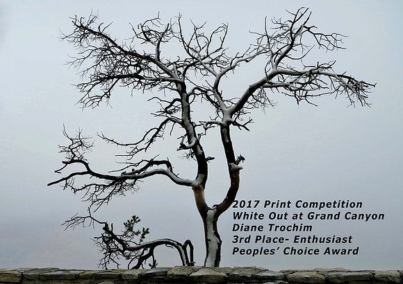 E11_Diane Trochim_White Out @ The Grand Canyon