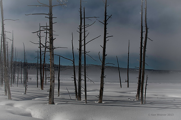 0178 90 Foggy Yellowstone Morning