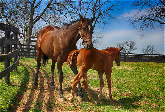 Family -JohnAyre