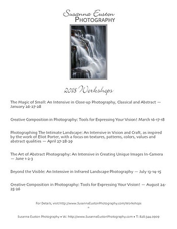 SE Workshops