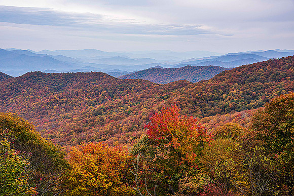 Blueridge