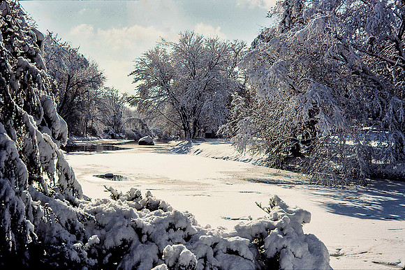 Canadian Winter