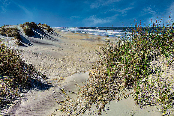Sand Dunes