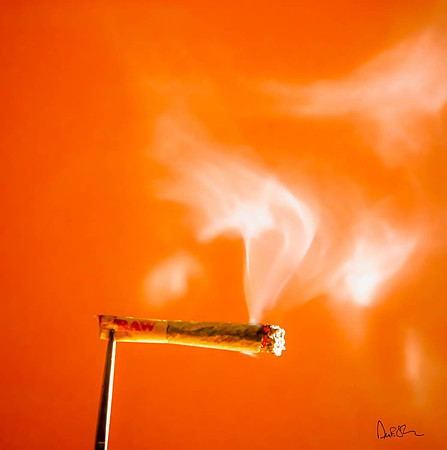 stillife04