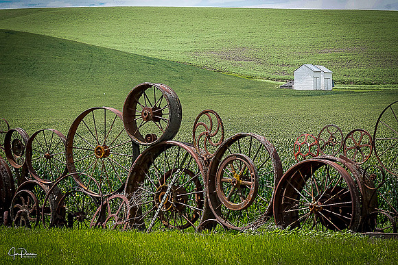 November_Landscape_Elements_from_jim_pierson