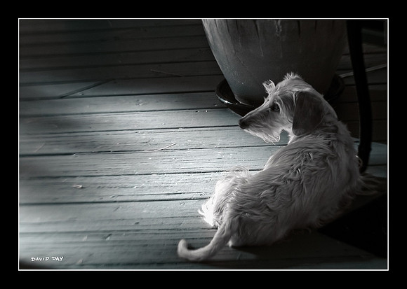 Lounging on the Deck