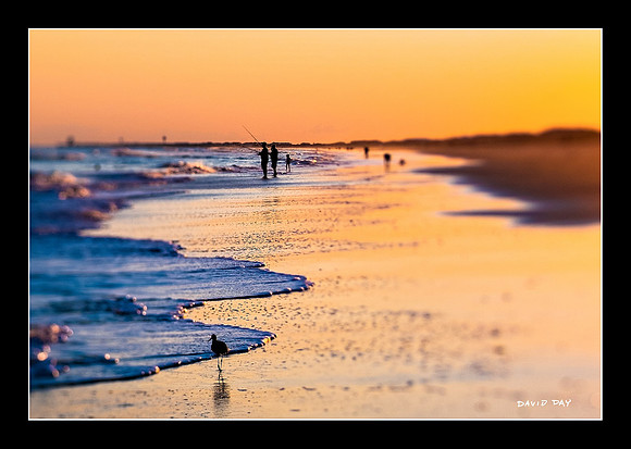 Evening at the Beach