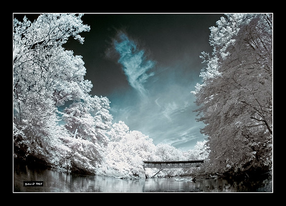 Forgotten Bridge
