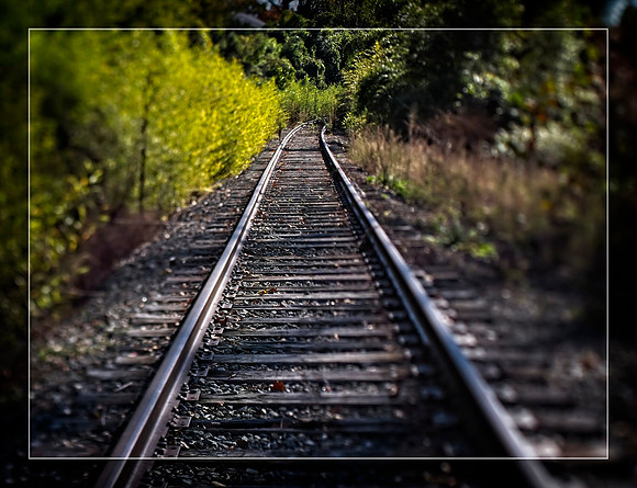 Tracks
