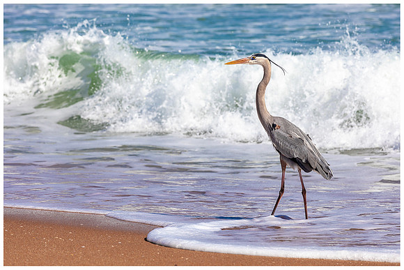 Walk on the Beach - Ormond Beach FL