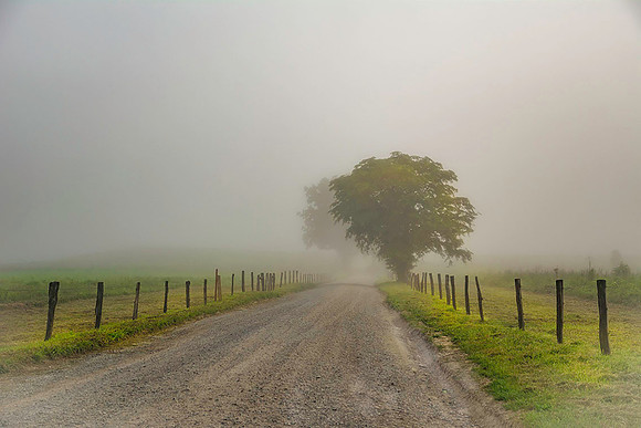Cades Cove Fog