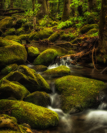 Mossy Rocks