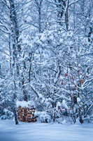 Woodpile