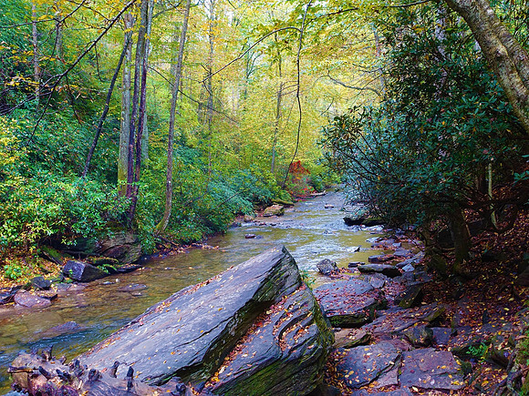 WNC