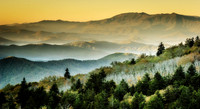 Roan Sunrise