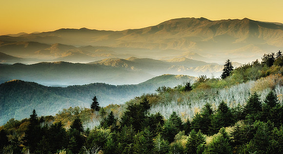Roan Sunrise