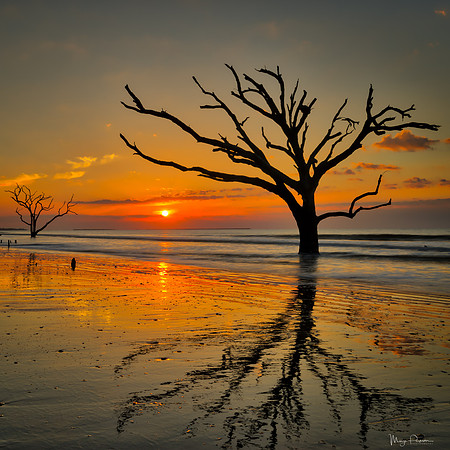 Botany Bay Sunrise