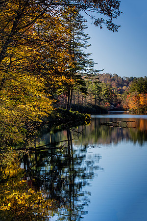 Autumn